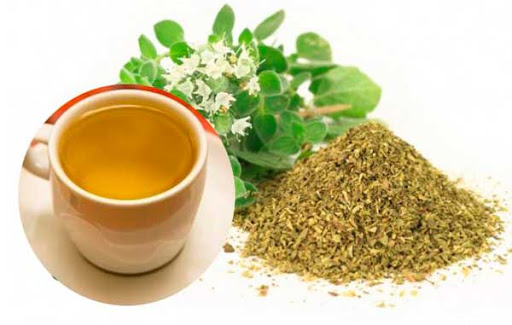 Propiedades Del Te De Oregano Tu Cuerpo En Salud 3971